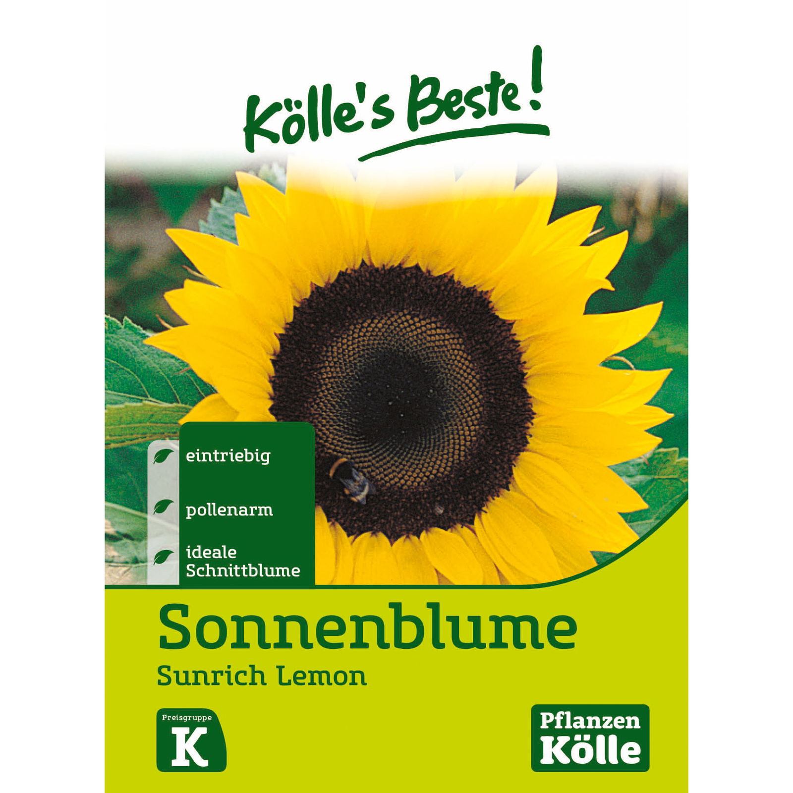 Kölle's Beste Sonnenblume 'Sunrich Lemon'