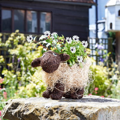 Pflanztopf 'Shelly Sheep', ca. 26 x 35 x 15 cm Pflanztopf 'Shelly Sheep', ca. 26 x 35 x 15 cm