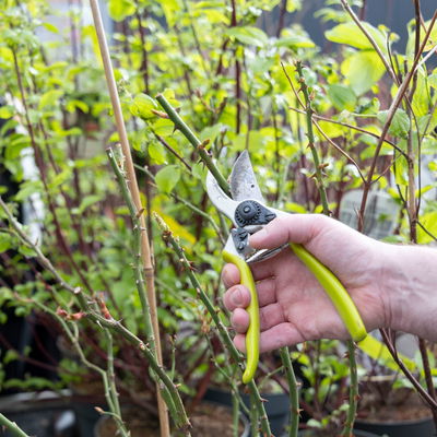 Online-Kurs Online-Kurs