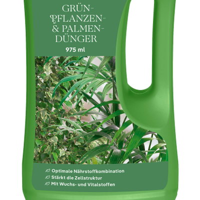 Kölles Beste Grünpflanzen- & Palmendünger, 975 ml