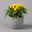 Capsicum 'Ornamenties Yellow', Topf-Ø 10,5, 6er-Set