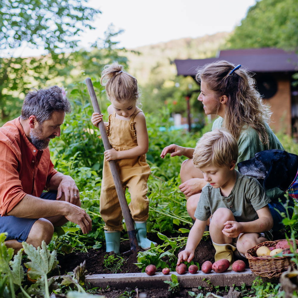 Nur in Wildau: Gartenschule „Naturnahes Gärtnern“, 28.03.2026, 14:00 – 15:30 Uhr