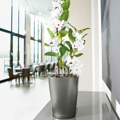 Lechuza 'Mini-Deltini', anthrazit, ca. 10 x 10 x H 13 cm