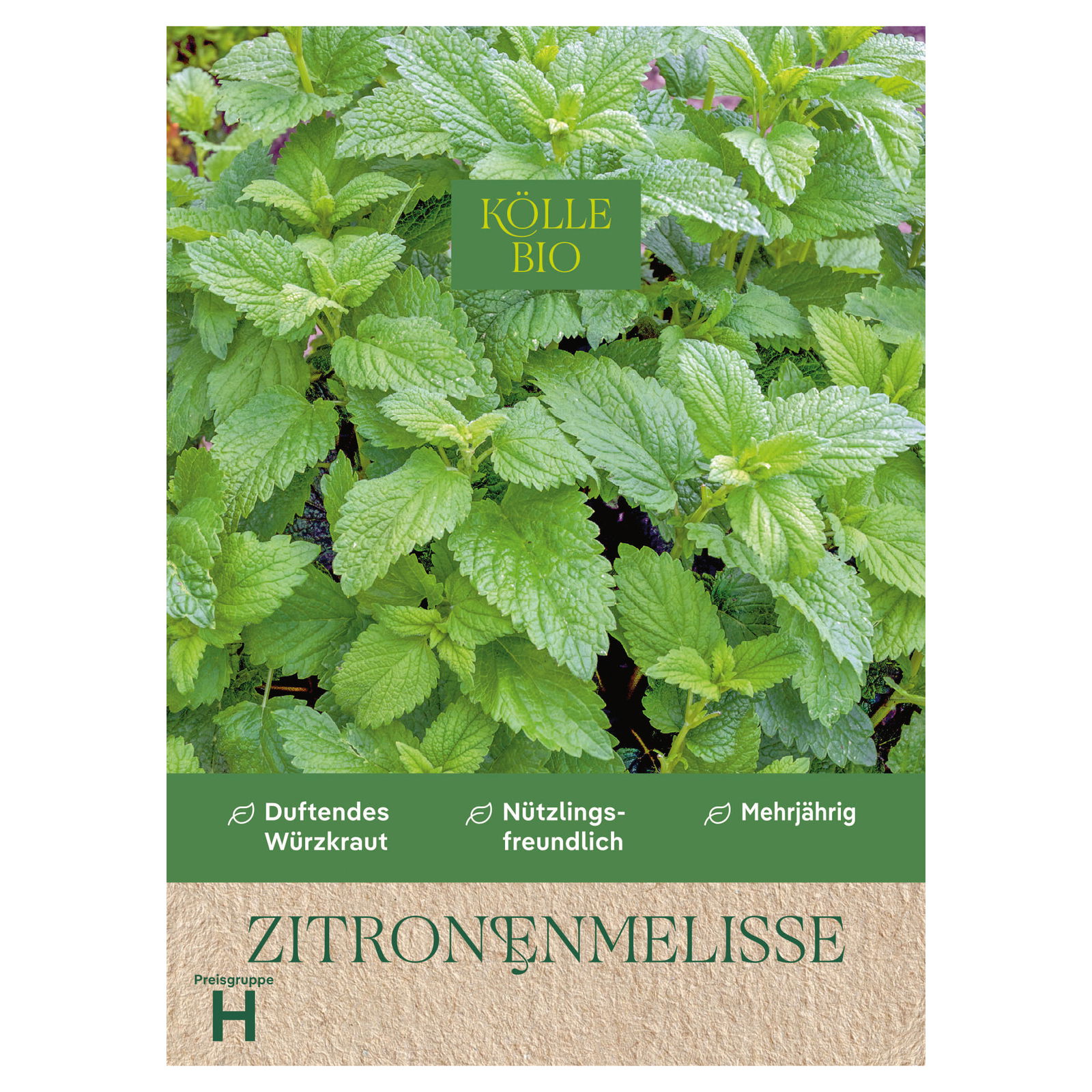 Kölle Bio Saatgut Zitronenmelisse, grün
