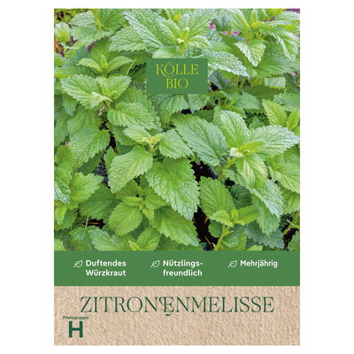 Kölle Bio Saatgut Zitronenmelisse, grün