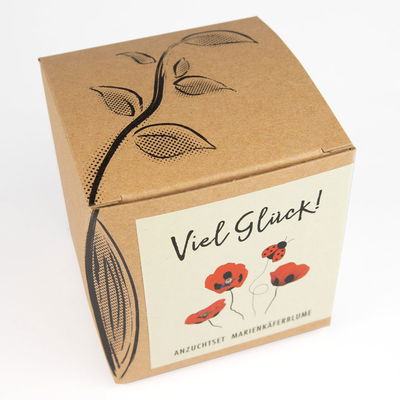 Anzuchtset 'Viel Glück', Mohn Anzuchtset 'Viel Glück', Mohn