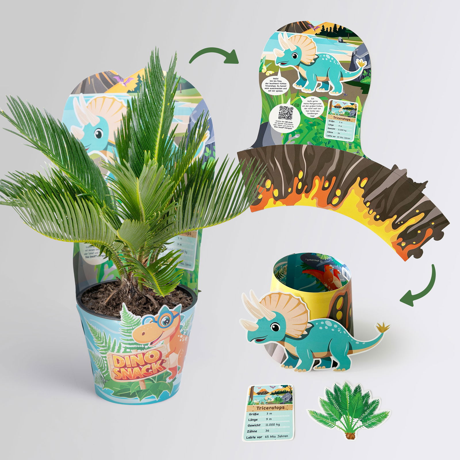Dino Snack®, Ares & Timo, Topf-Ø 14 cm, 2 Pflanzen