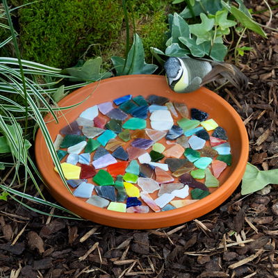 Gartenschule Kids Gartenschule Kids