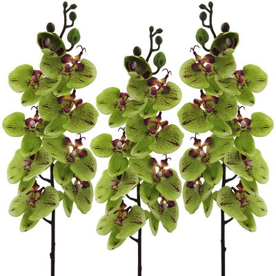 Kunstblume Orchideenzweig, grün-rot, Höhe ca. 98 cm, 3 Stück Kunstblume Orchideenzweig, grün-rot, Höhe ca. 98 cm, 3 Stück