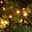 Lumineo LED Durawise Twinkle Compact, klassisch warm, 192 LEDs, Länge 4,7 m