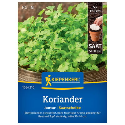Kiepenkerl Saatscheibe Koriander 'Jantar'