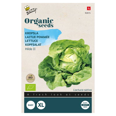 Gemüsesamen, Kopfsalat 'Hilde 2', grün, 0,1 g Gemüsesamen, Kopfsalat 'Hilde 2', grün, 0,1 g
