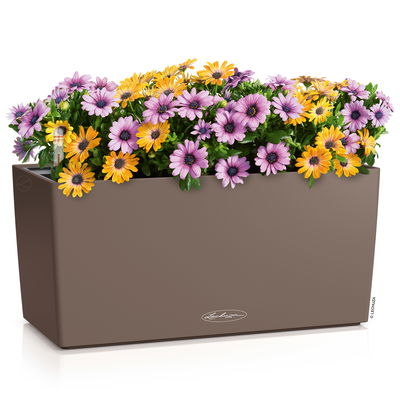 Lechuza 'Balconera Color 40', muskat, ca. 40 x 19 x H 19 cm