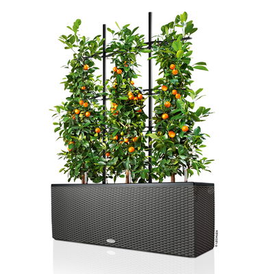 Lechuza 'Trio Cottage 30', granit, ca. 100 x 32 x H 34 cm