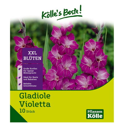 XXL Gladiole 'Violetta' lila, 10 Blumenknollen XXL Gladiole 'Violetta' lila, 10 Blumenknollen