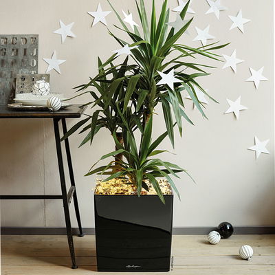 Lechuza 'Cube 40', schwarz, ca. 39 x 39 x H 40 cm Lechuza 'Cube 40', schwarz, ca. 39 x 39 x H 40 cm