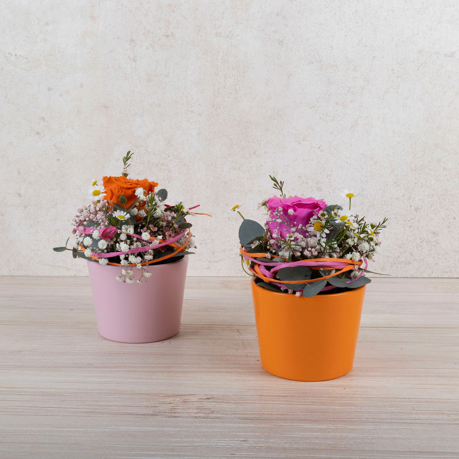 Workshop zu Rosenfreu