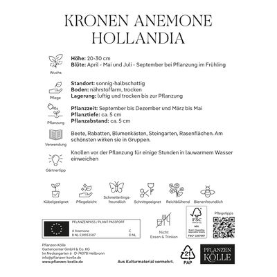 Kronen-Anemonen 'Hollandia', rot, Größe 7/8, 10 Blumenzwiebeln Kronen-Anemonen 'Hollandia', rot, Größe 7/8, 10 Blumenzwiebeln