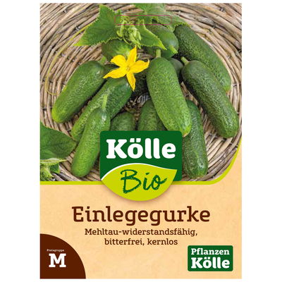 Bio-Saatgut, Einlegegurke 'Diamant', grün