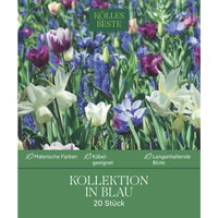 Blumenmischung 'Bienenweide Mischung', blau, 20 Zwiebeln