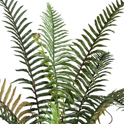 Kunstpflanze Blechnumfarn, Höhe ca. 53 cm Kunstpflanze Blechnumfarn, Höhe ca. 53 cm