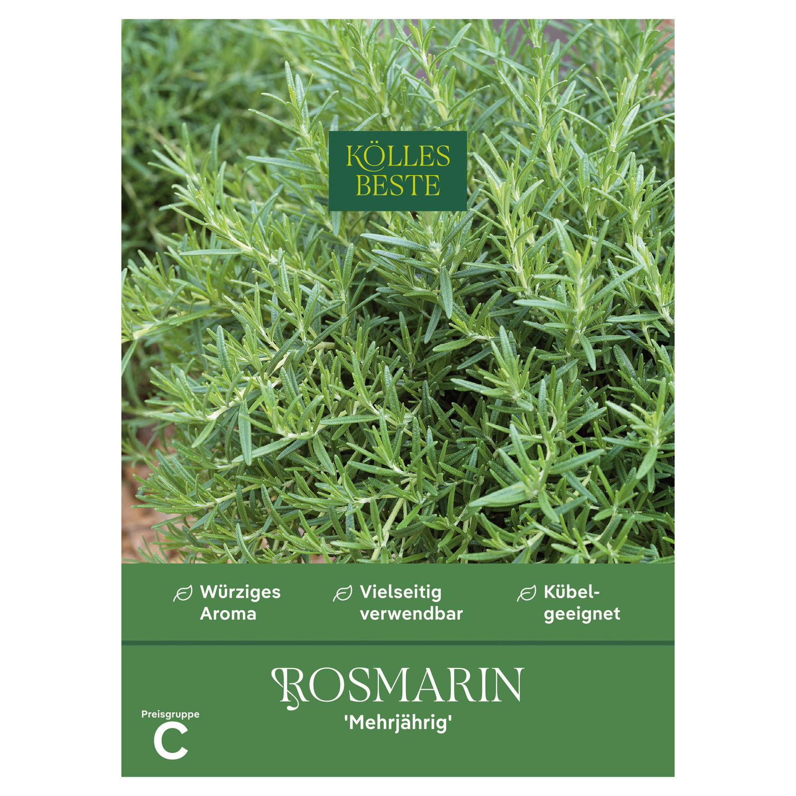 Kölles Beste Kräutersamen, Rosmarin 'Mehrjährig'