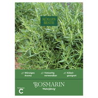Kölles Beste Kräutersamen, Rosmarin 'Mehrjährig'