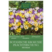 botanische Krokusse 'Prachtmischung', Farbmix, 100 Blumenzwiebeln