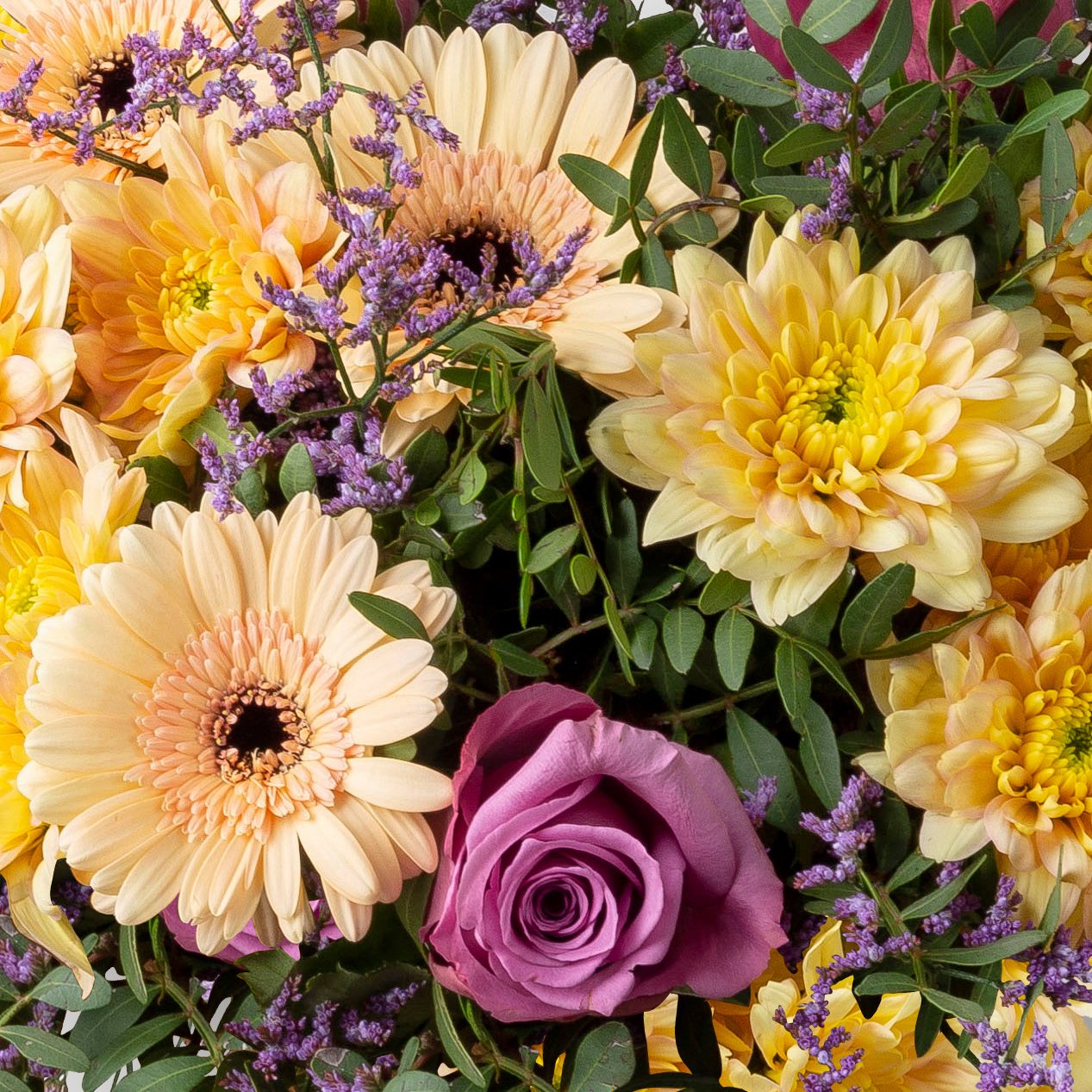 Blumenstrauß 'Dijon' inkl. gratis Grußkarte