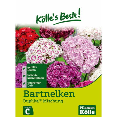 Blumensamen Bartnelken 