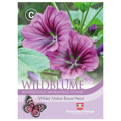 Thompson & Morgan Wildblume Wilde Malve 'Brave Heart', lila Thompson & Morgan Wildblume Wilde Malve 'Brave Heart', lila
