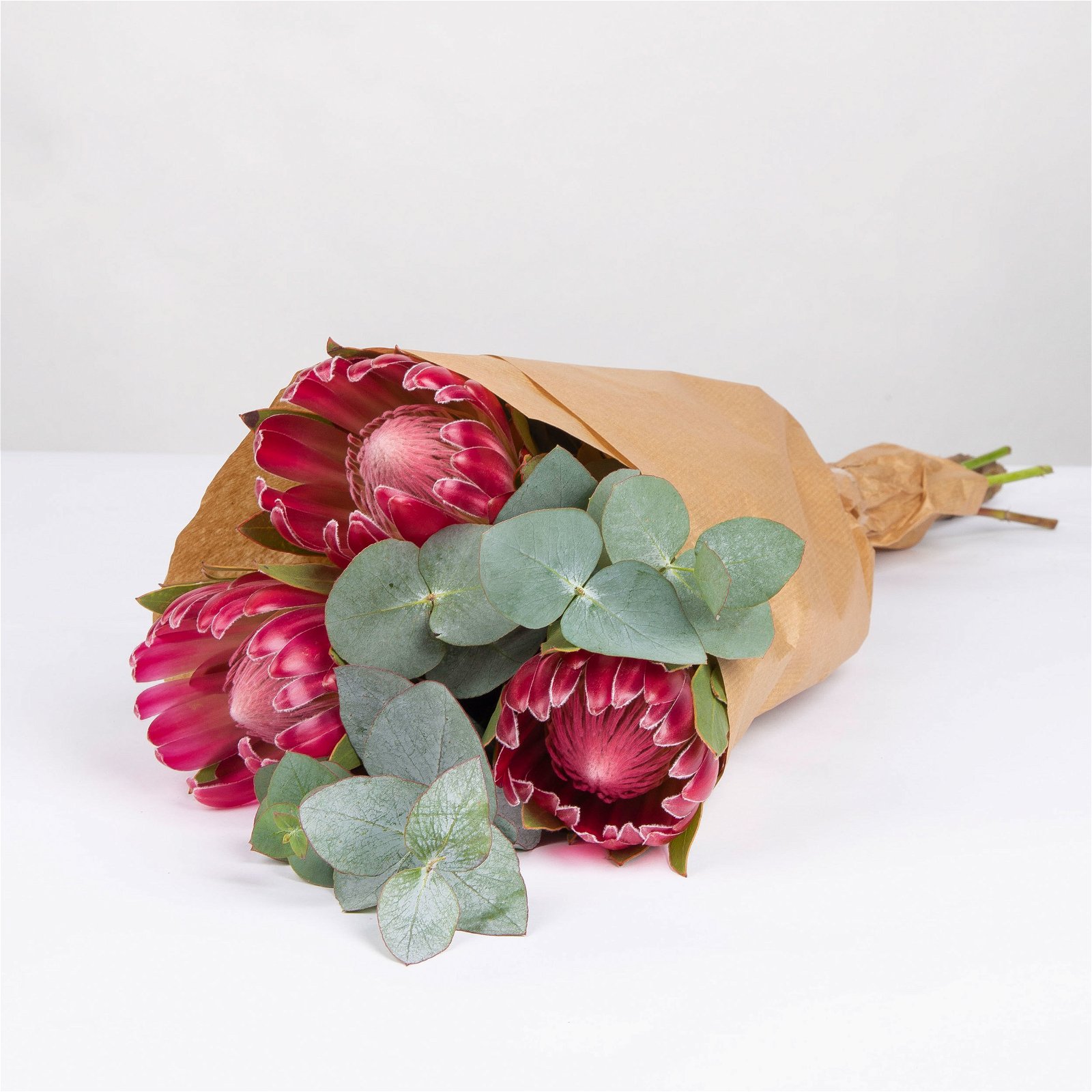 Blumenbund Protea 'Silvia' & Eukalyptus, inkl. gratis Grußkarte