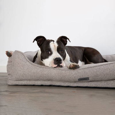 Nobby Orthopädisches Komfortbett Calbu eckig beige ca. 100x65x19 cm Nobby Orthopädisches Komfortbett Calbu eckig beige ca. 100x65x19 cm