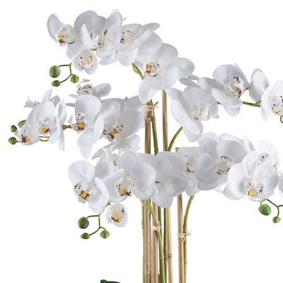 Kunstpflanze Phalaenopsis, weiß/schwarz, Höhe ca. 70 cm