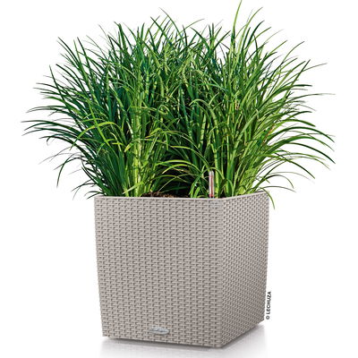 Lechuza 'Cube Cottage 40', sandbraun, ca. 39 x 39 x H 40 cm Lechuza 'Cube Cottage 40', sandbraun, ca. 39 x 39 x H 40 cm