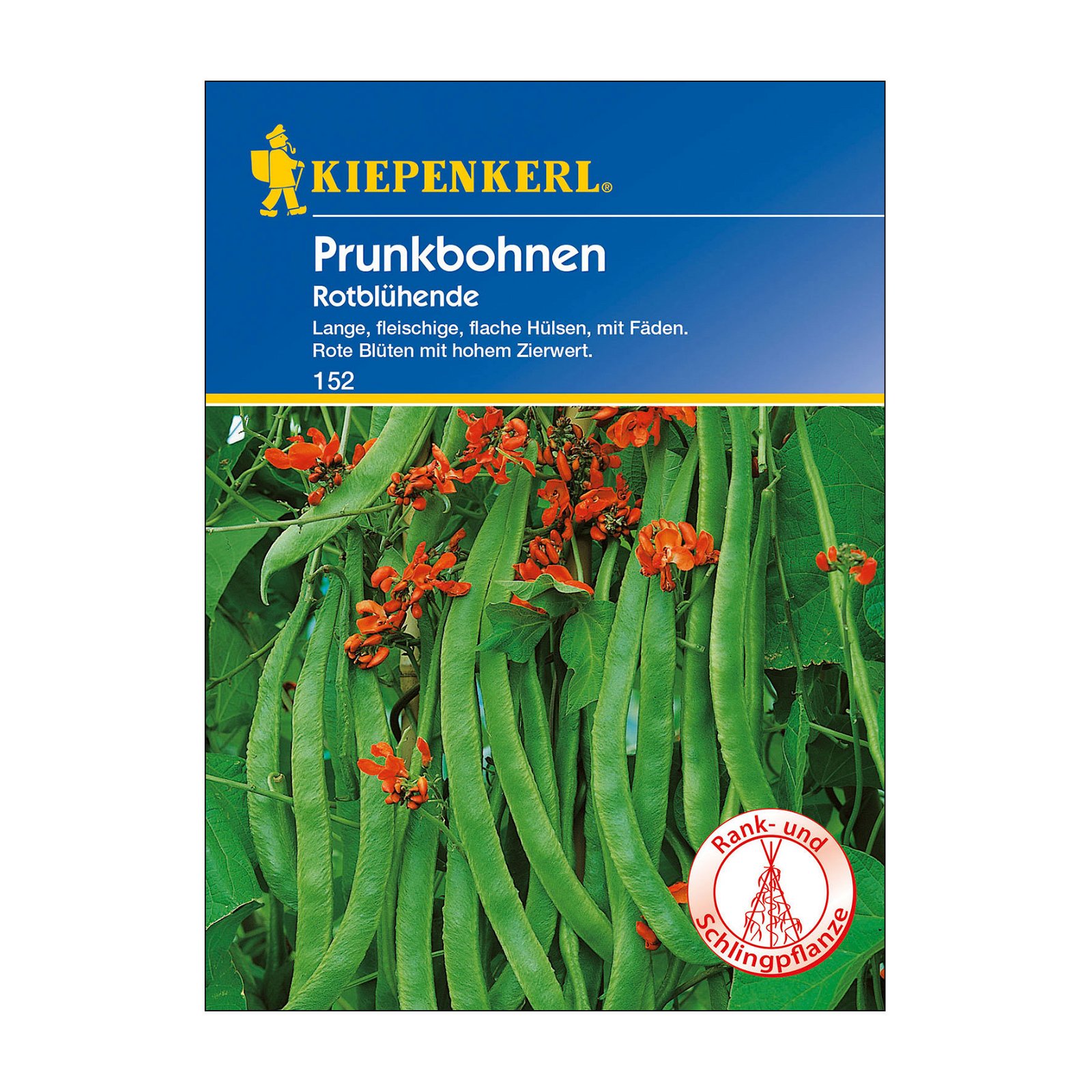 Gemüsesamen, Prunkbohnen 'Rotblühende'