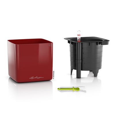 Lechuza 'Cube Glossy 14', scarlet-rot, ca. 14 x 14 x H 13,5 cm