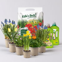 Pflanzenkreation Bunter Frühling, klein, 6 Pflanzen inkl. Erde & Dünger