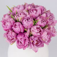 Blumenbund mit Tulpen 'Double Price', 30er-Bund, lila, inkl. gratis Grußkarte