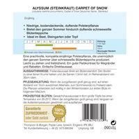 Thompson & Morgan Blumensamen Steinkraut (Alyssum) 
