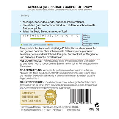 Thompson & Morgan Blumensamen Steinkraut (Alyssum) Thompson & Morgan Blumensamen Steinkraut (Alyssum)