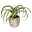 Künstliche Agave bracteosa, ca. 20 cm, Zementtopf 11 x 10 cm