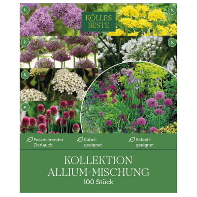 Kölles Beste Kollektion 'Allium-Mischung', 100 Blumenzwiebeln Kölles Beste Kollektion 'Allium-Mischung', 100 Blumenzwiebeln
