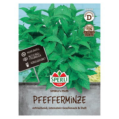 Saatgut Pfefferminze 'Sperli’s Pfeffi' Saatgut Pfefferminze 'Sperli’s Pfeffi'