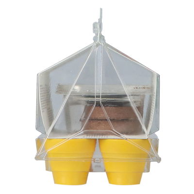 Mini-Gewächshaus mit essbaren Blumensamen Mini-Gewächshaus mit essbaren Blumensamen