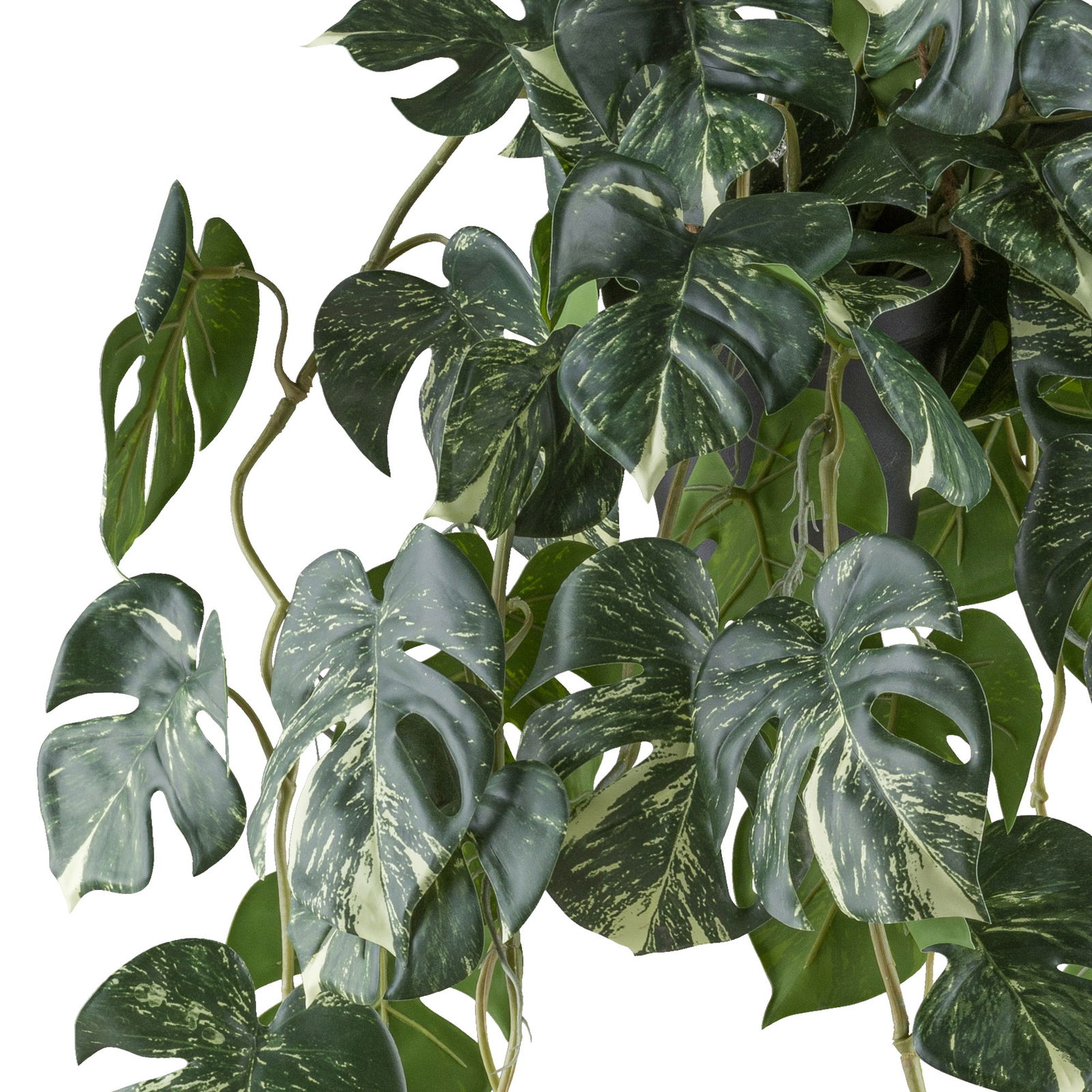 Kunstpflanze Splitphilodendron variegata im Hängetopf, Höhe ca. 80 cm