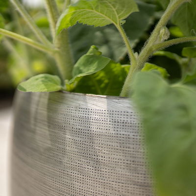 Kölle Pflanzgefäß 'Rowen', silber, ca. Ø 50 x H 47 cm