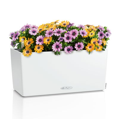 Lechuza 'Balconera Color 40' weiß, ca. 40 x 19 x H 19 cm