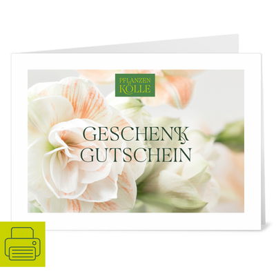 Gutschein zum Ausdrucken 'Amaryllis' Gutschein zum Ausdrucken 'Amaryllis'