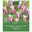 XXL Lilienblütige Tulpen Ballade violett/weiß, 7 Blumenzwiebeln XXL Lilienblütige Tulpen Ballade violett/weiß, 7 Blumenzwiebeln